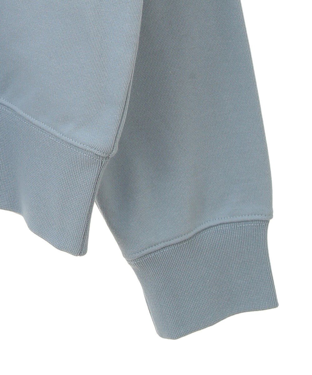 AMERICAN HOLIC ＭＩＣＨＩＧＡＮ　ラグランスウェット 