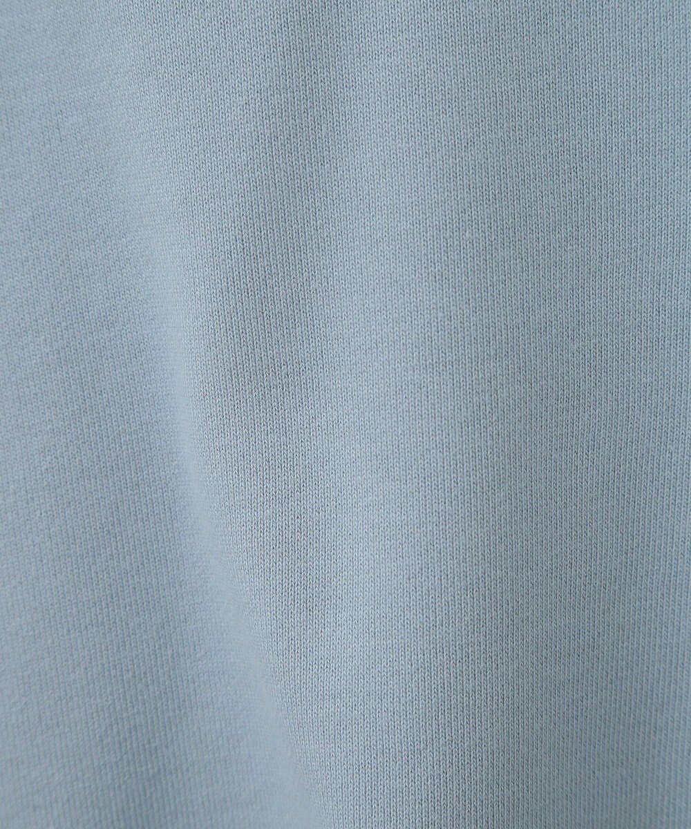 AMERICAN HOLIC ＭＩＣＨＩＧＡＮ　ラグランスウェット 