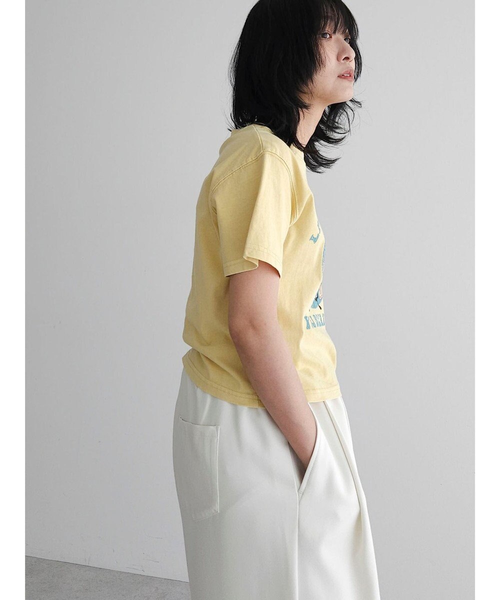 Green Parks ・Ｄｏｕｂｌｅ　Ｆｌａｇｓウ゛ィンテージライクプリントＴ 