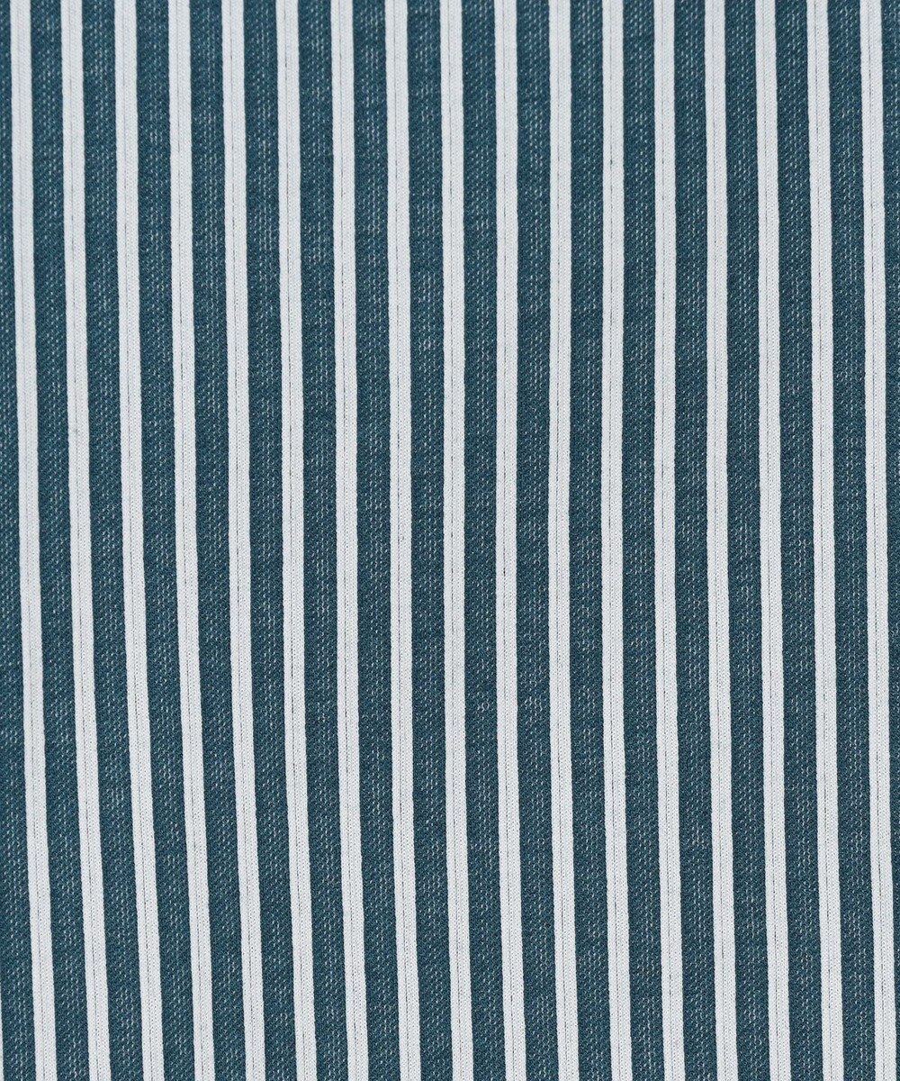 J.PRESS LADIES 【WEB限定カラーあり・洗える】ストライプジャージー フレンチスリーブ カットソー 