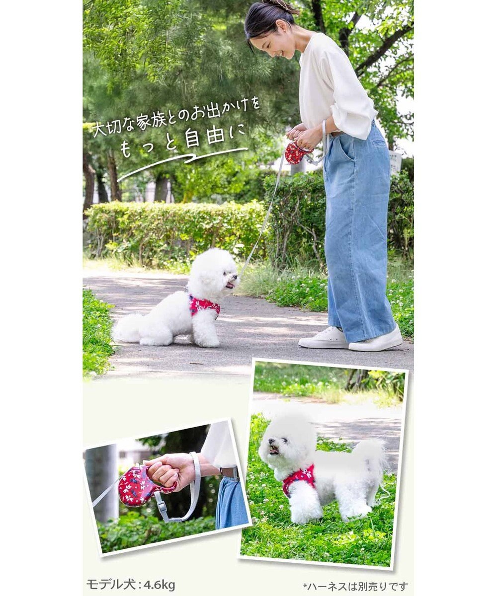 PET PARADISE リサとガスパール 伸縮リード 《パリ柄》 