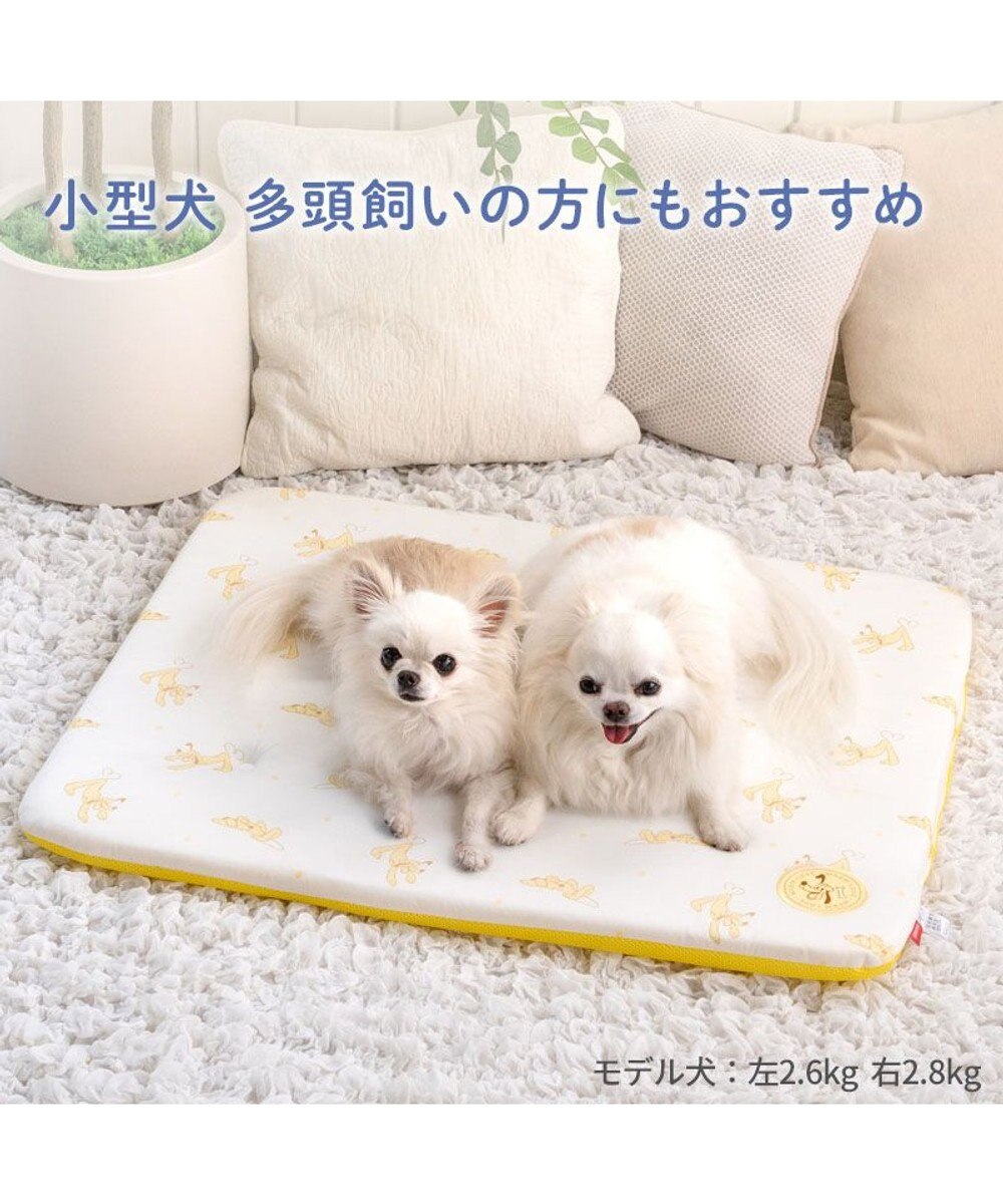 PET PARADISE ディズニー プルート もちっと クールマット 