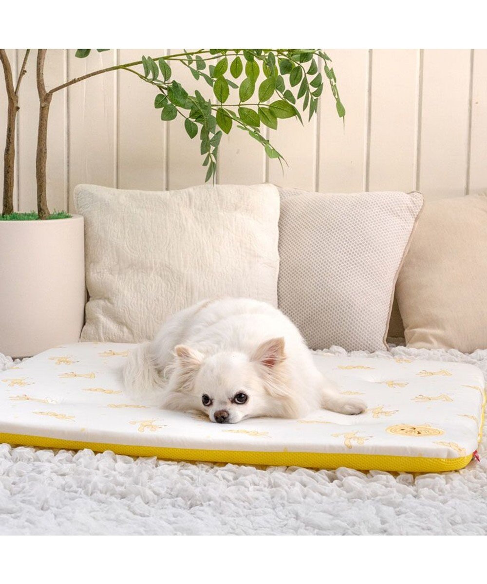 PET PARADISE ディズニー プルート もちっと クールマット 