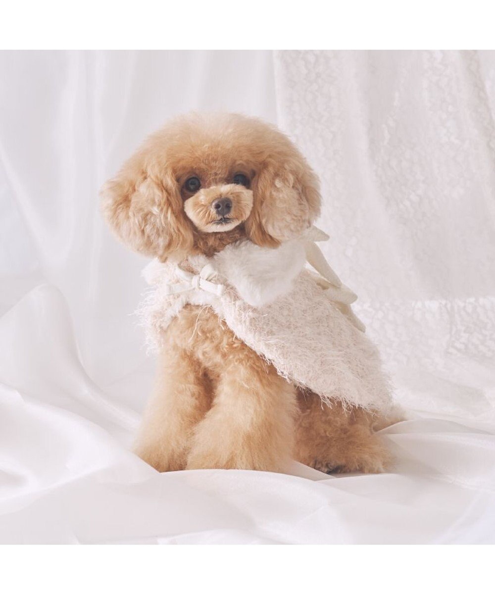 PET PARADISE cherircouture キラキラポンチョ 小型犬 