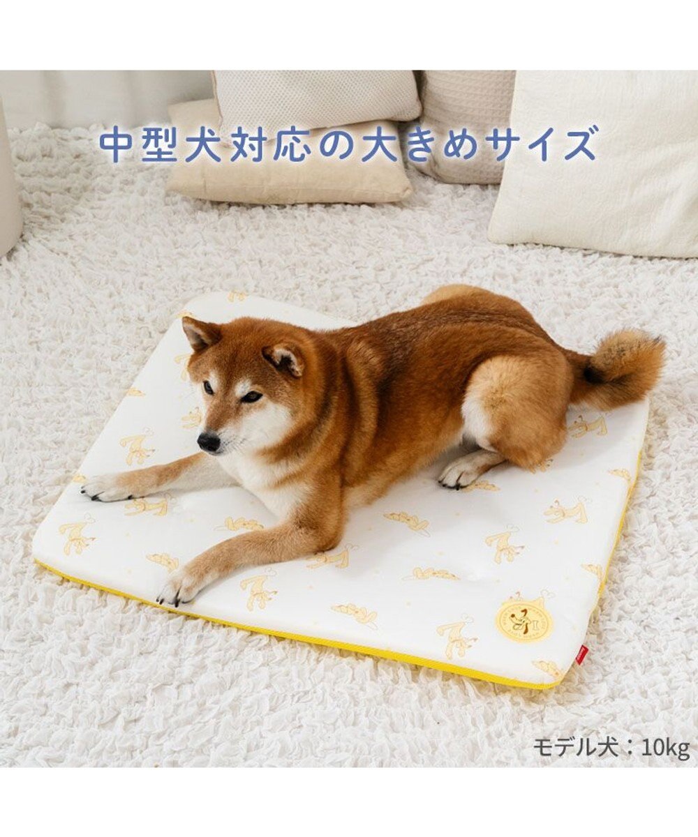 PET PARADISE ディズニー プルート もちっと クールマット 