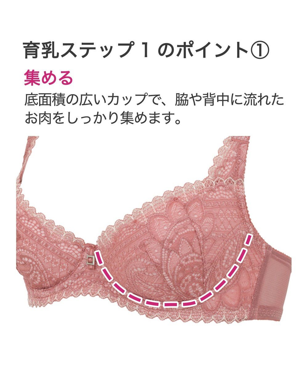 BRADELIS New York 【BRADELIS New York】ジャスミンステップ1ブラ23A2 幅広ワイヤーでしっかりお肉を集めて谷間を作る補整ブラ 