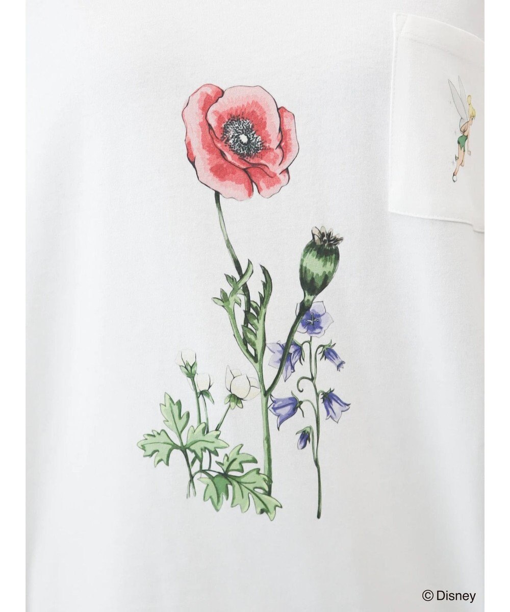 Green Parks ピーター・パン／ポケットＴｅｅ 