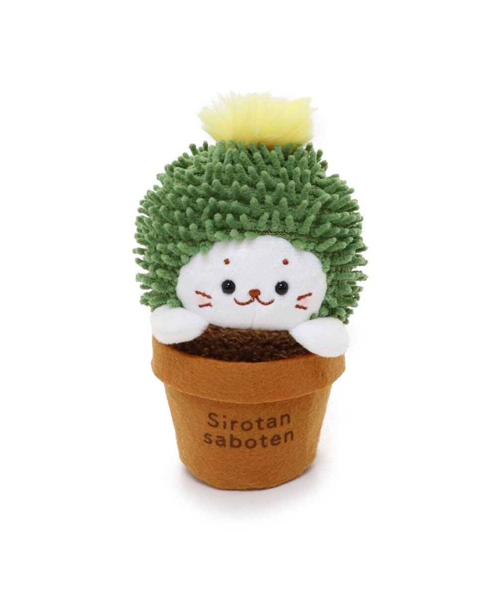 Mother garden しろたん サボテン マスコット 《きんしゃちサボテン》 