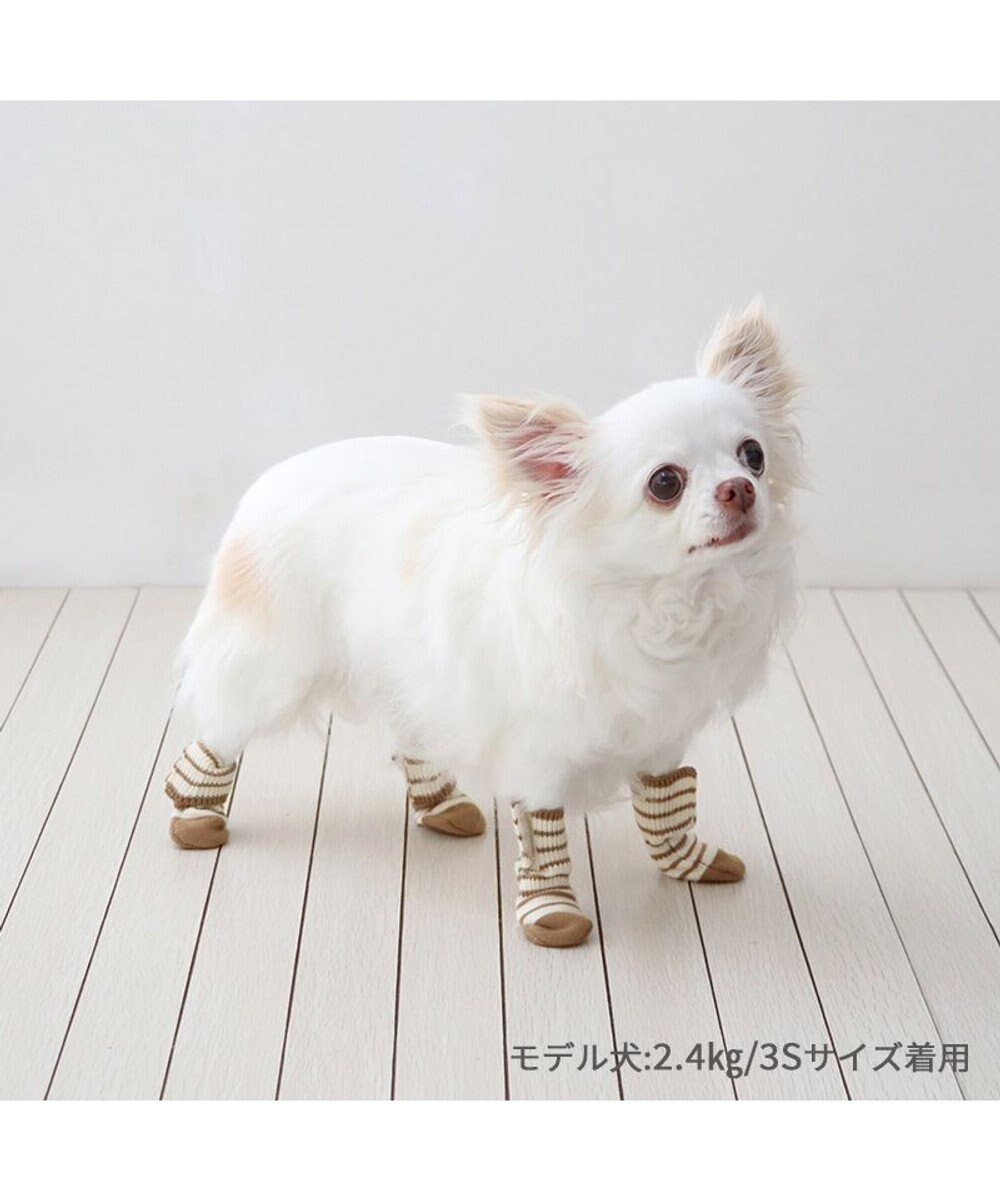PET PARADISE ペットパラダイス makokoro スリット 靴下  《ボーダー》  ＳＳ 小型犬 