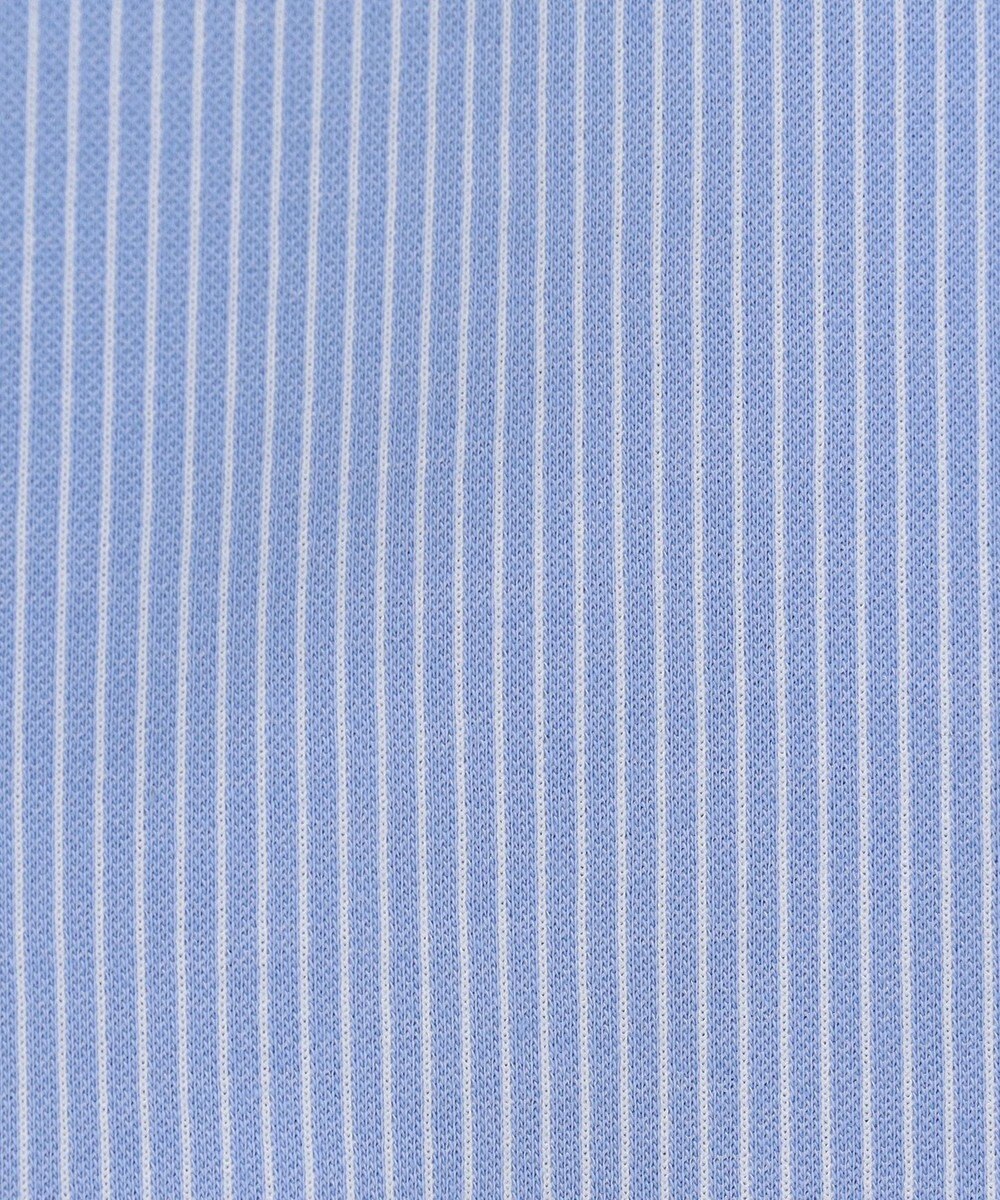 J.PRESS LADIES 【WEB限定カラーあり・洗える】ストライプジャージー フレンチスリーブ カットソー 