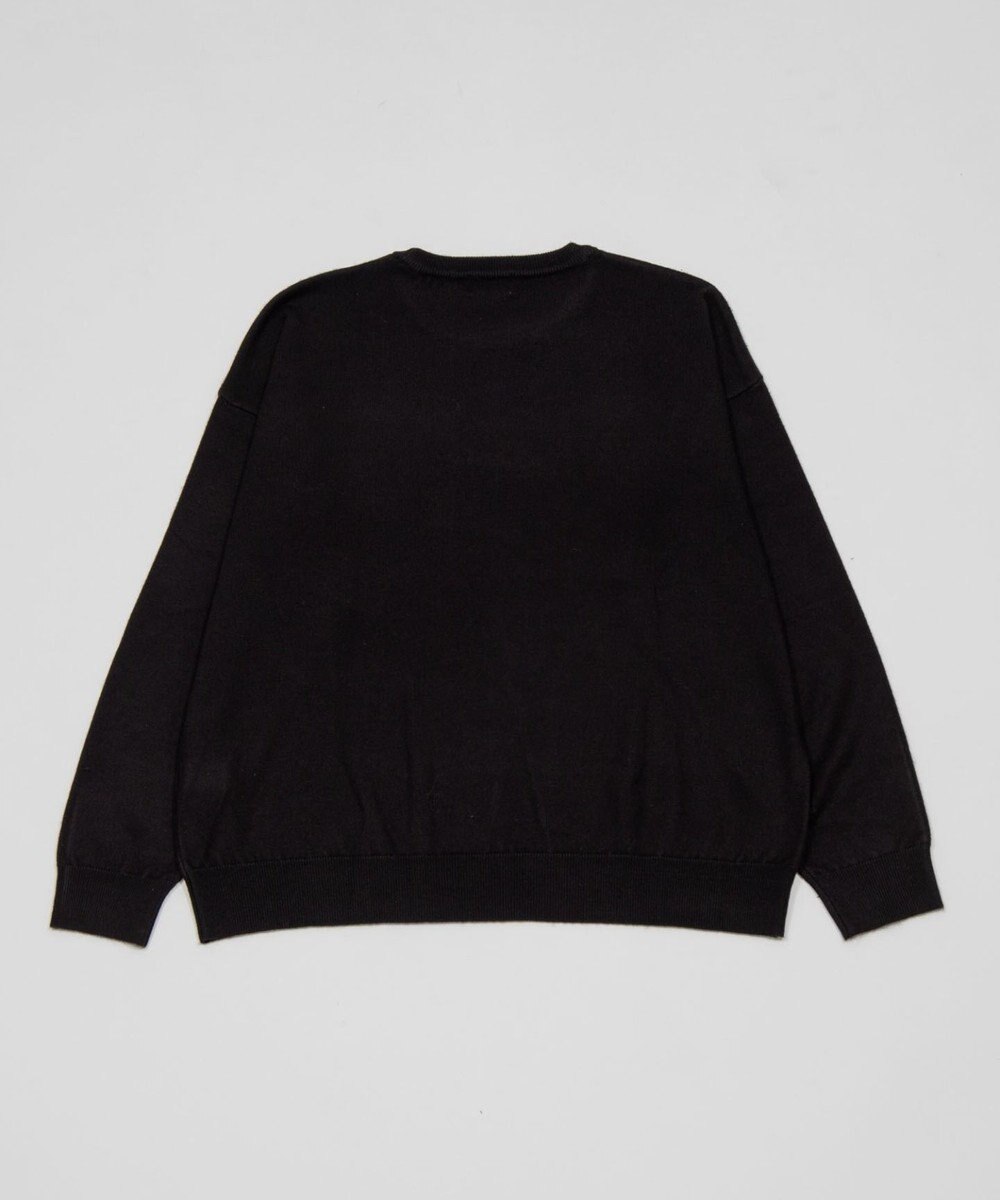 WEGO アクセ付きワンポイントニットプルオーバー（LS） 