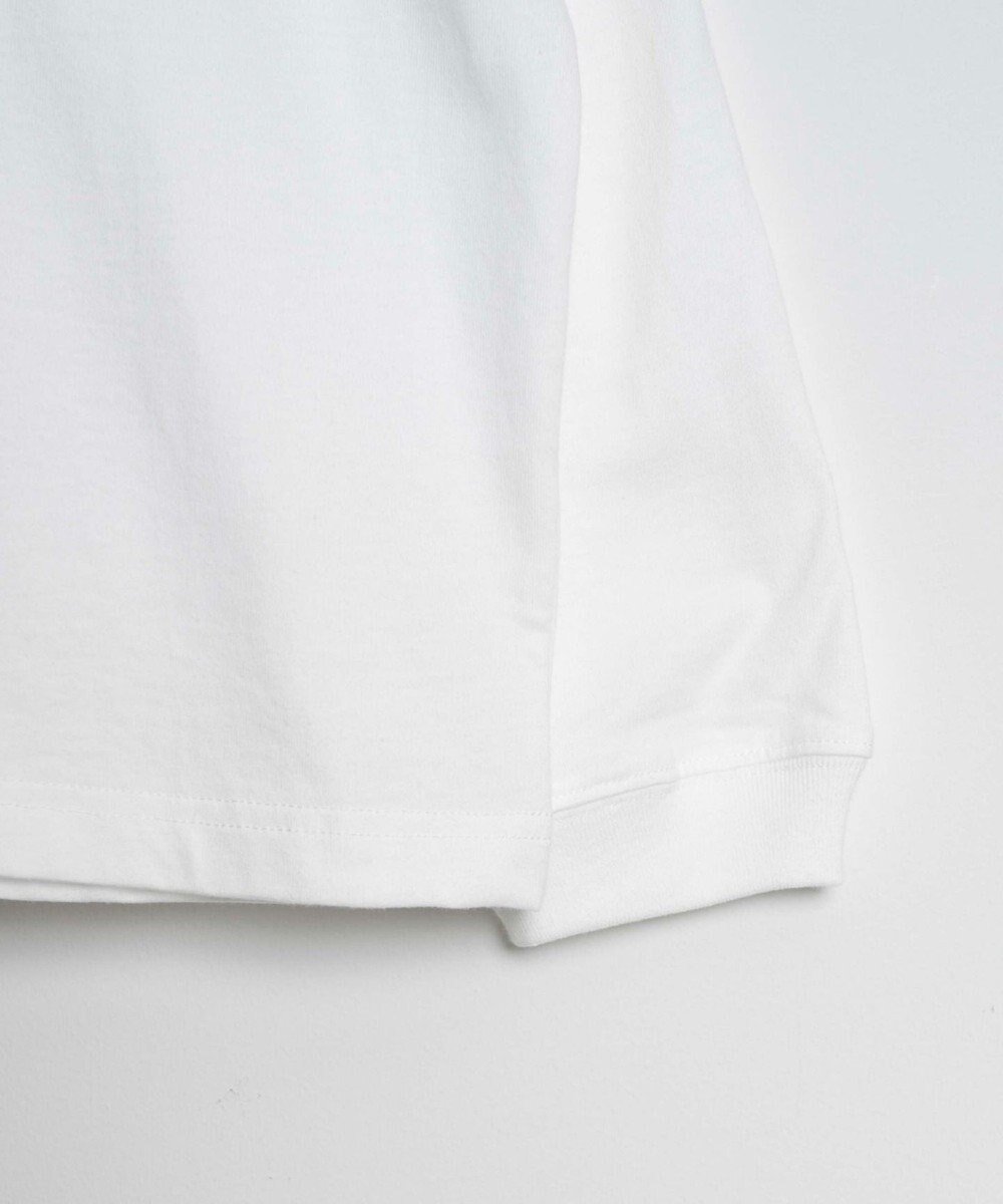 WEGO アソートグラフィックロンT（2） 