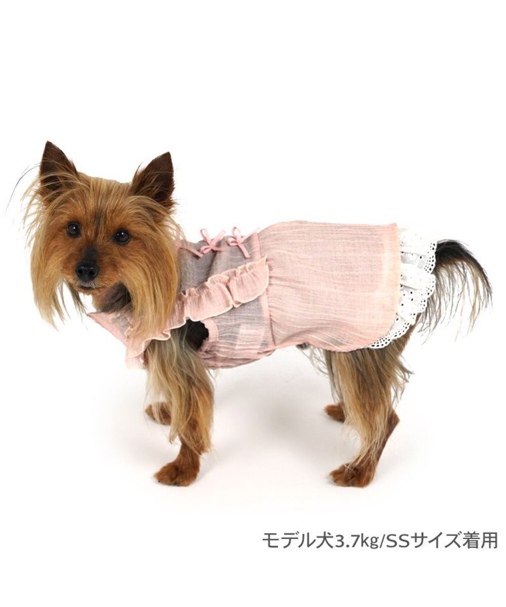 PET PARADISE ペットパラダイス スプリング ワンピース 《ピンク》 超小型犬 小型犬 