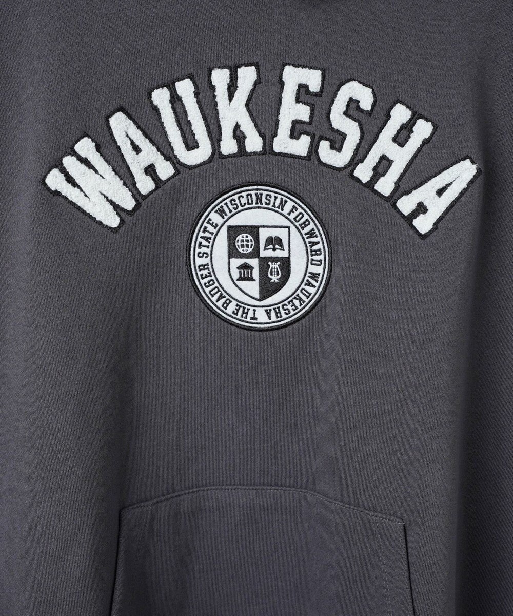 WEGO ヘビーウエイトサガラカレッジプルパーカー 