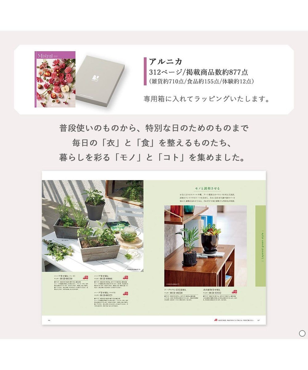 antina gift studio Mistral(ミストラル) ギフトカタログ＜アルニカ＞ 