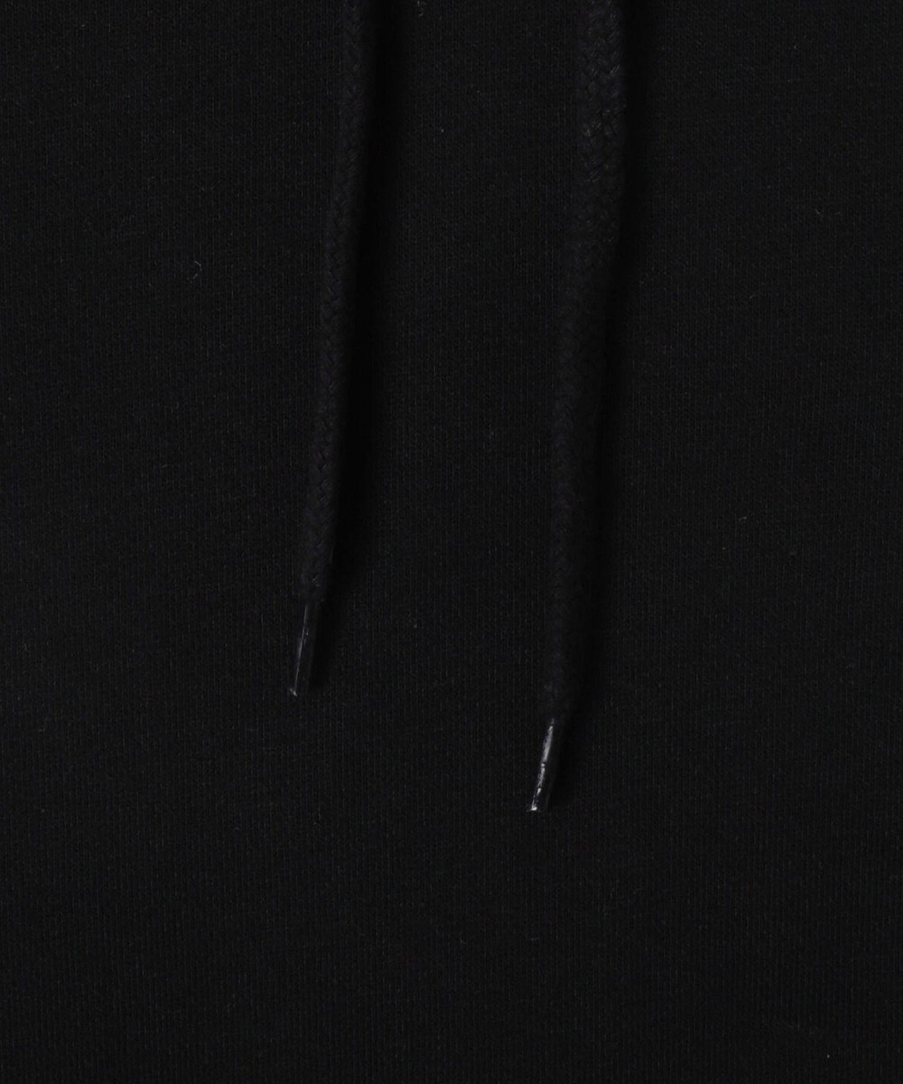 WEGO BENDAVISブリッジグラフィックプルパーカー 