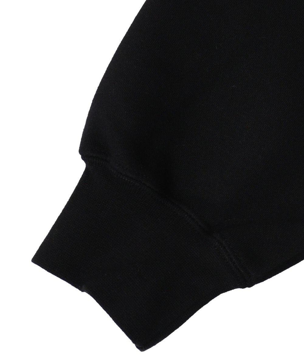 WEGO BENDAVISブリッジグラフィックプルパーカー 