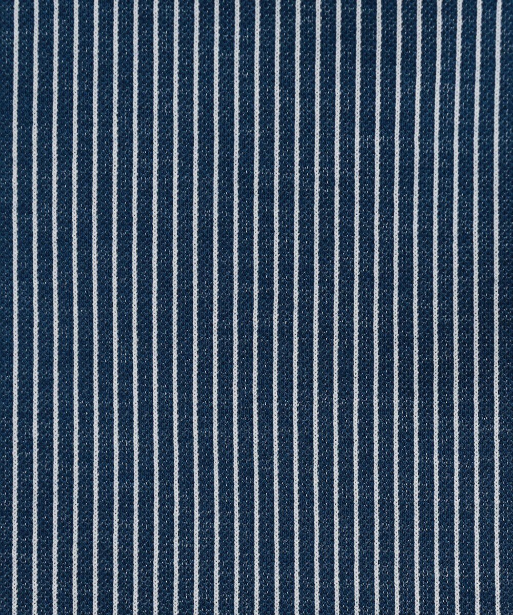 J.PRESS LADIES S 【WEB限定カラーあり・洗える】ストライプジャージー フレンチスリーブ カットソー 