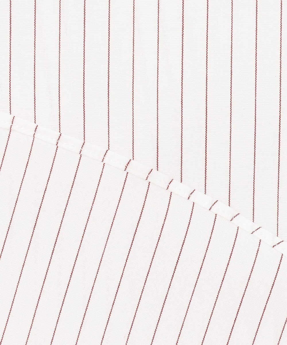 J.PRESS MEN 【KING SIZE】【PREMIUM PLEATS / 形態安定】ペンシルストライプ シャツ / B.D. 