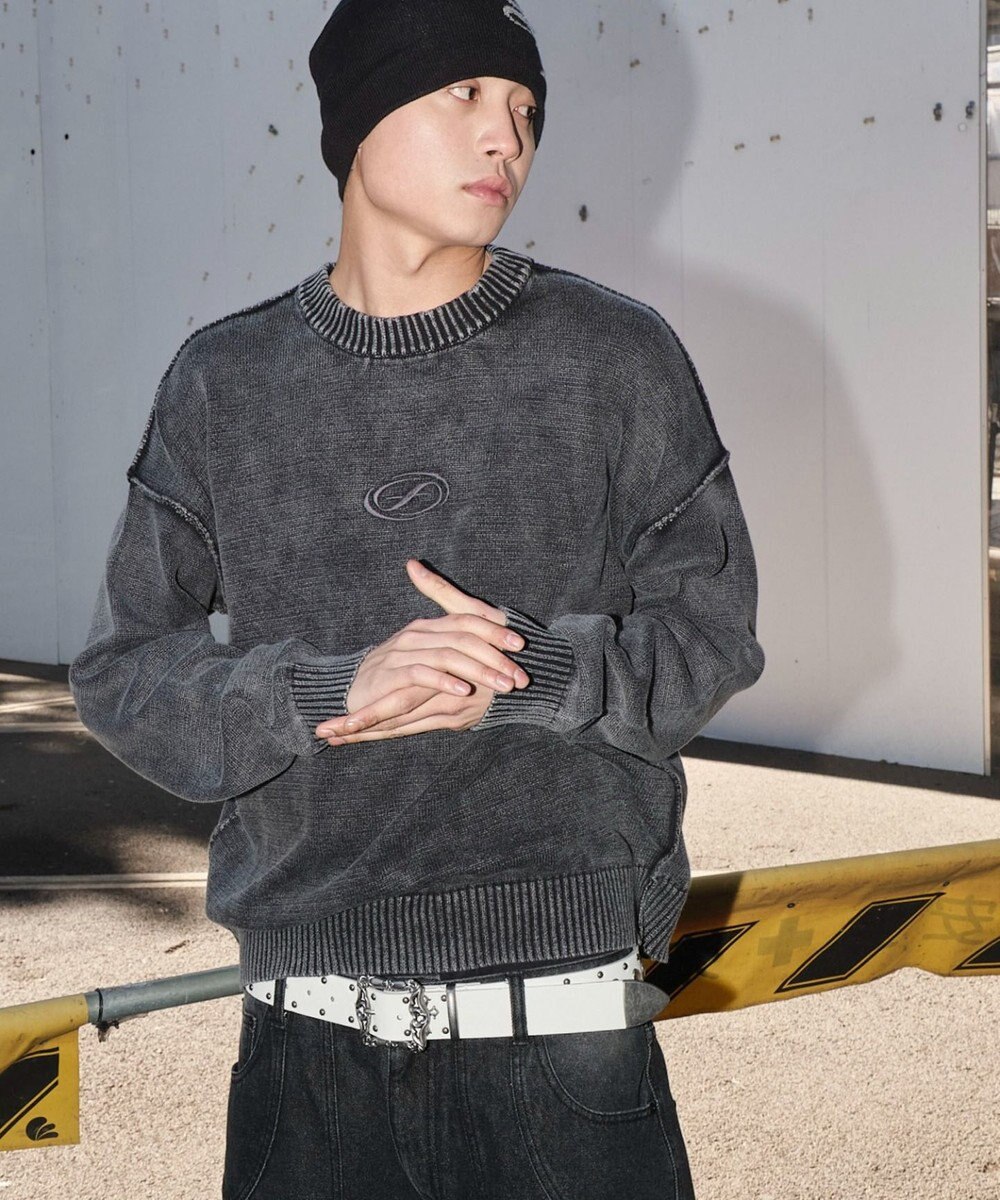 WEGO 【ユニセックス着用ITEM】ピグメントロゴニットプルオーバー 