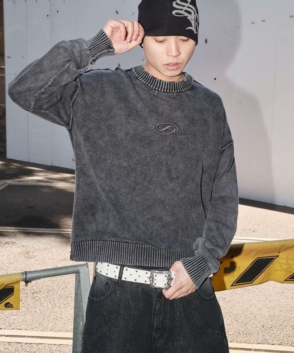 WEGO 【ユニセックス着用ITEM】ピグメントロゴニットプルオーバー 