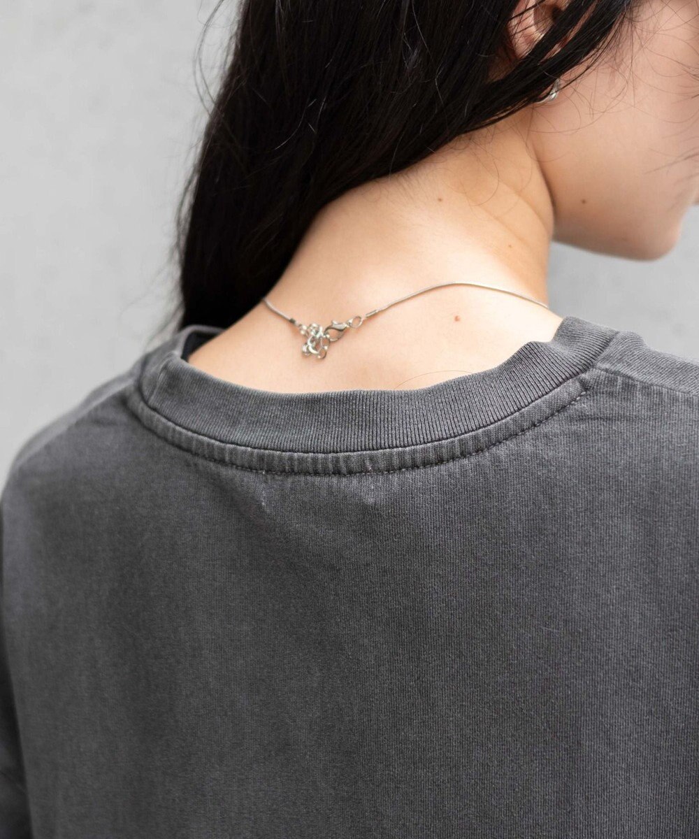 WEGO ピグメントロンT 