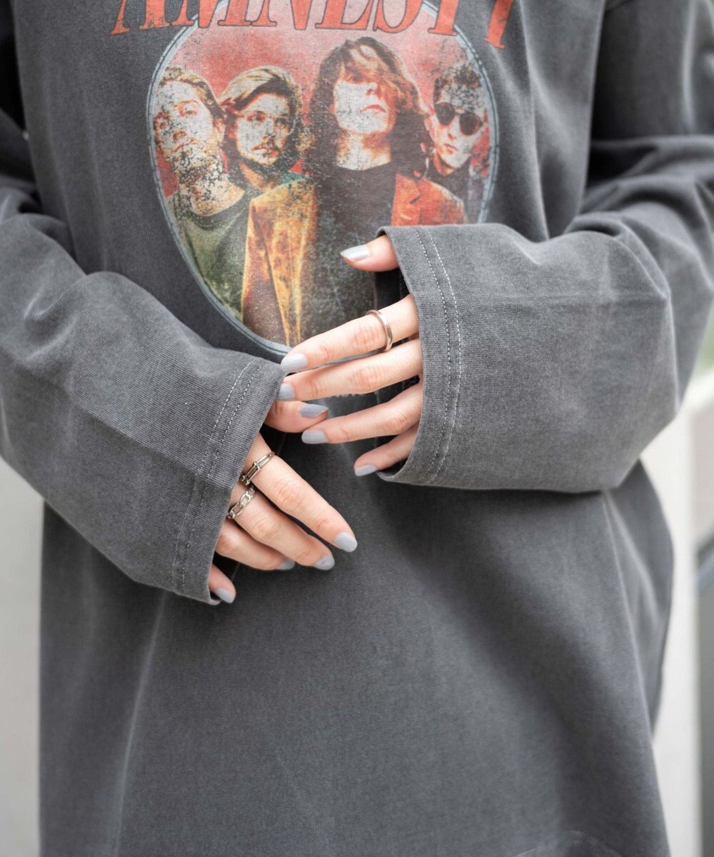 WEGO ピグメントロンT 