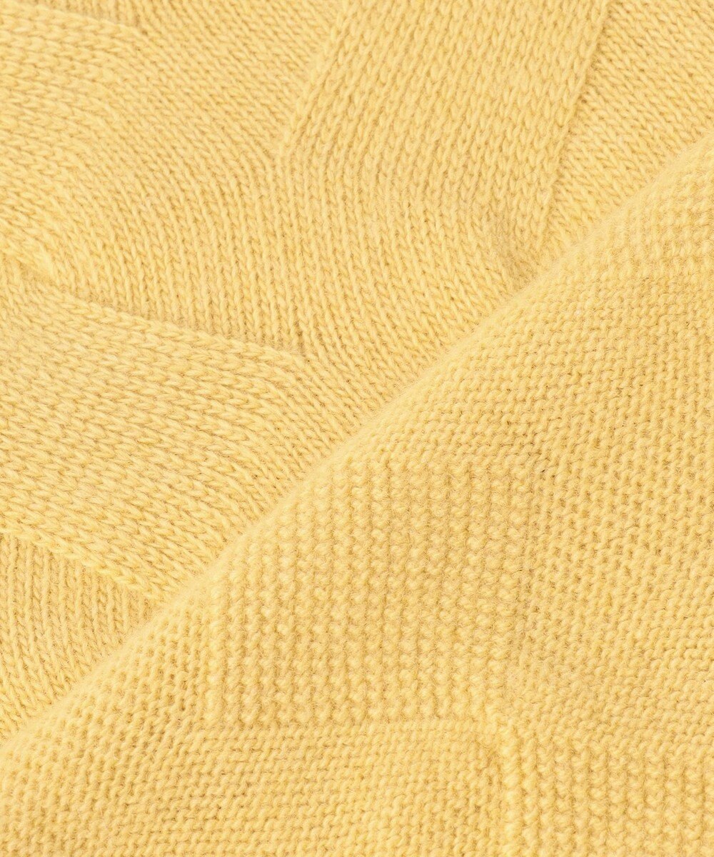 J.PRESS LADIES L 【WEB限定カラーあり】CAT ハイネック ニット 