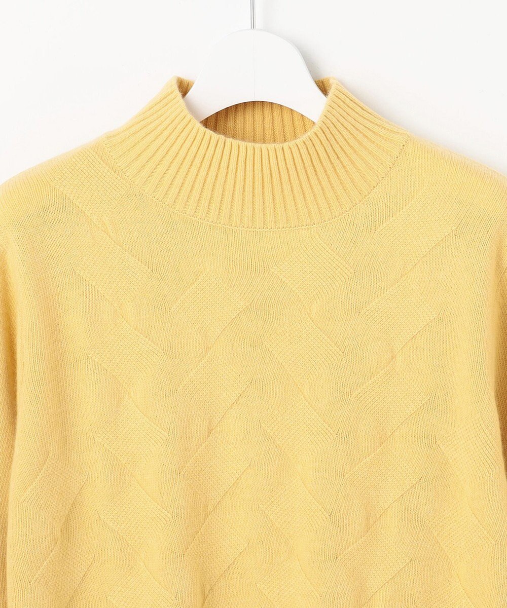 J.PRESS LADIES L 【WEB限定カラーあり】CAT ハイネック ニット 