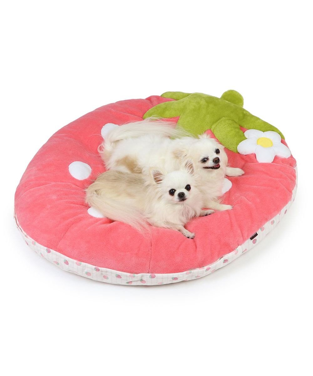 PET PARADISE ネット店限定 ペットパラダイス 春いちご クッション  L 