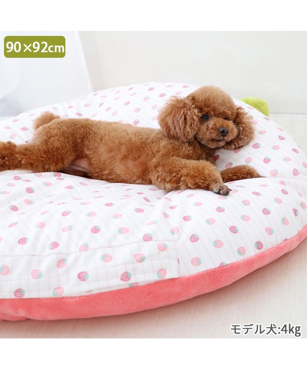 PET PARADISE ネット店限定 ペットパラダイス 春いちご クッション  L 
