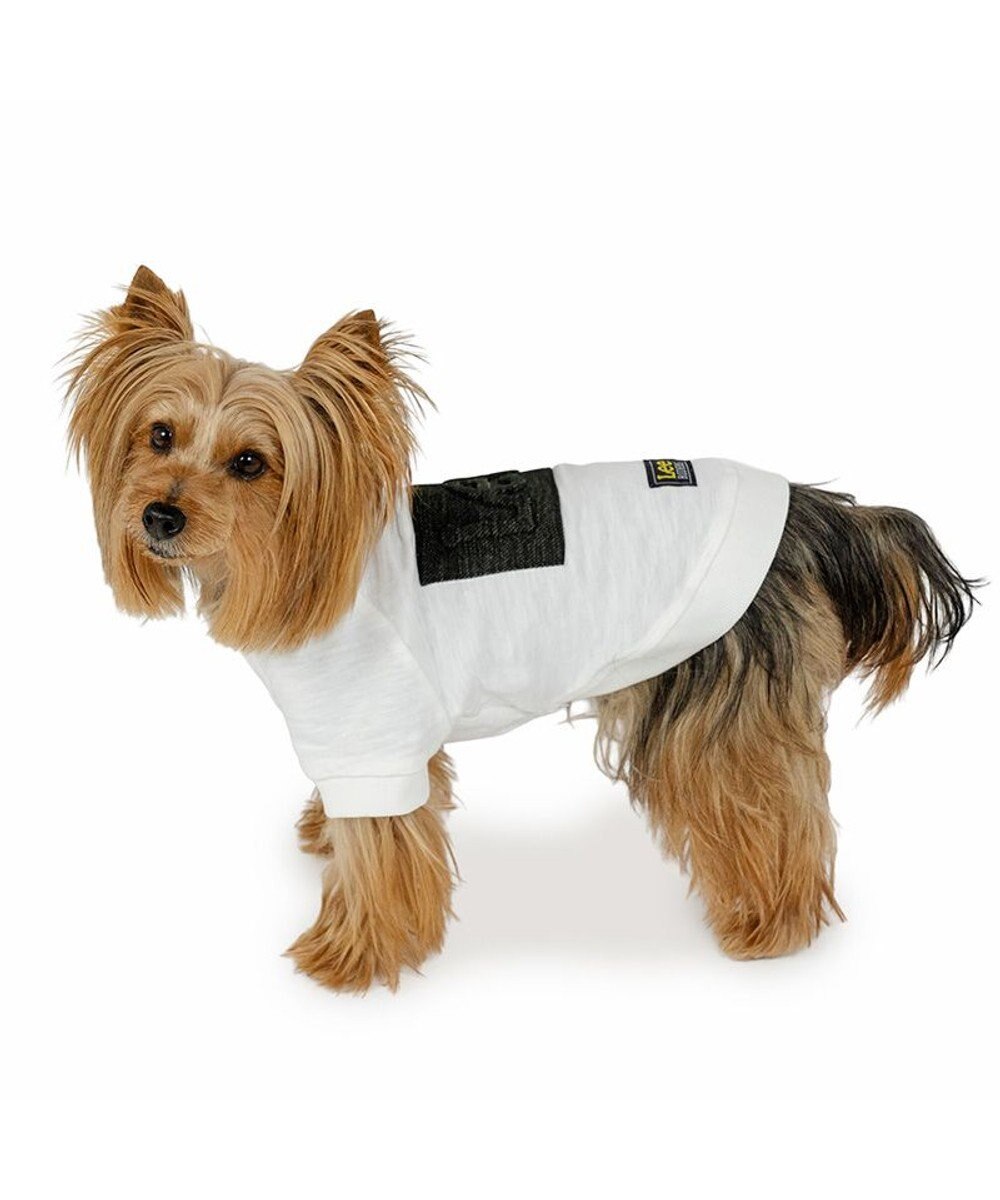 PET PARADISE Lee エンボス ロゴ Ｔシャツ 《ホワイト》 小型犬 