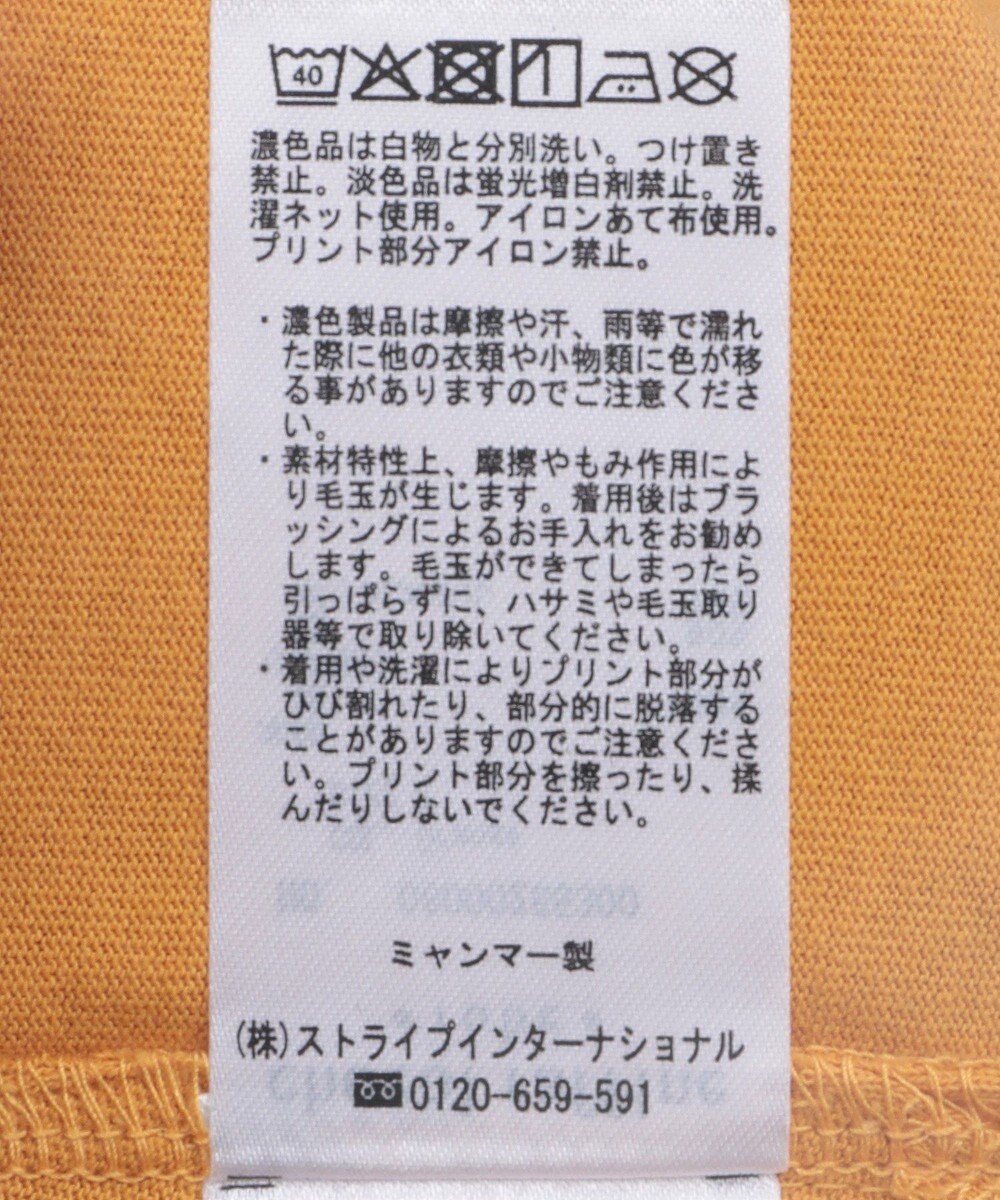 Green Parks 多段フェミニンロゴボックスＴシャツ 