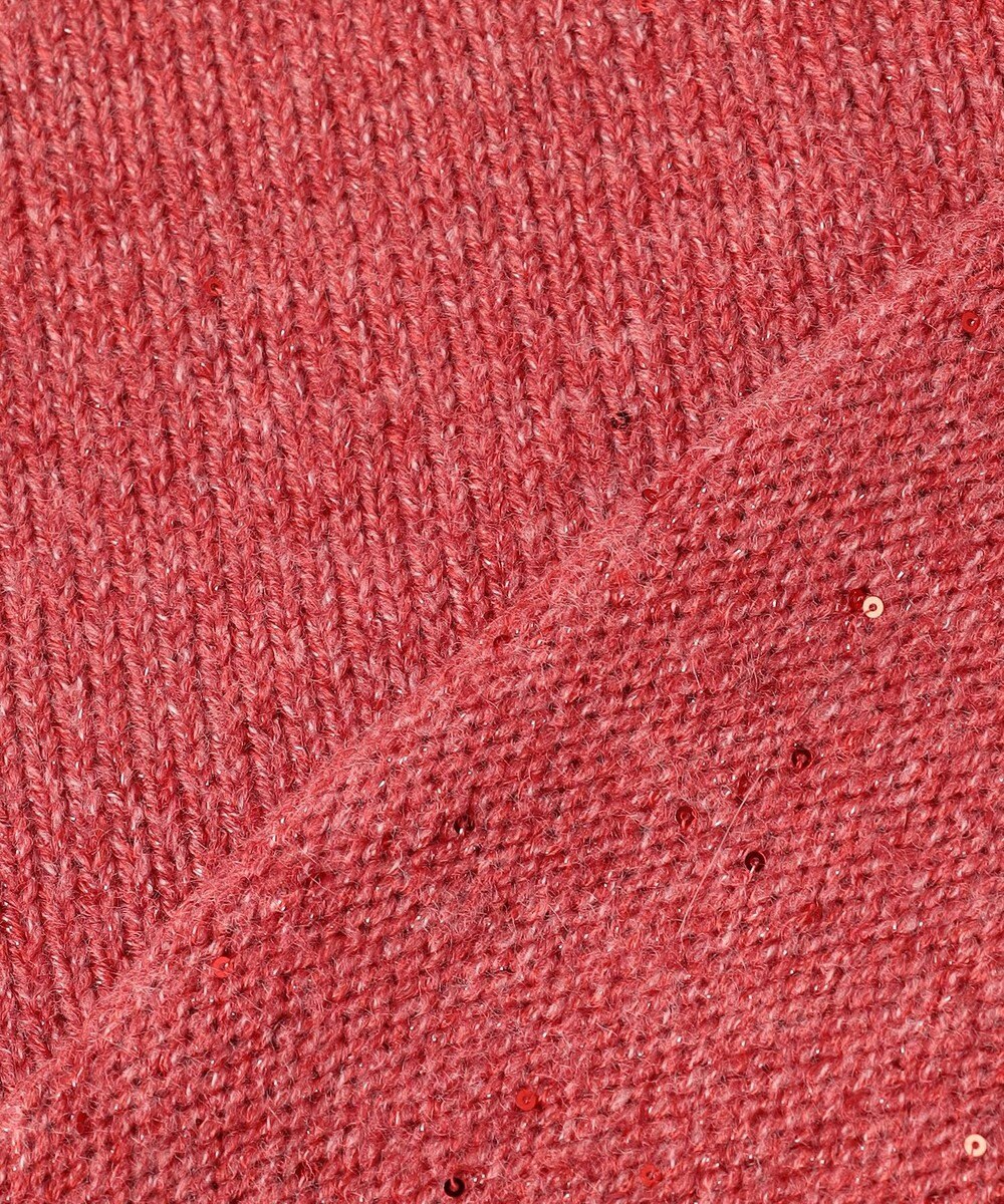 ANY L スパンコールニット 