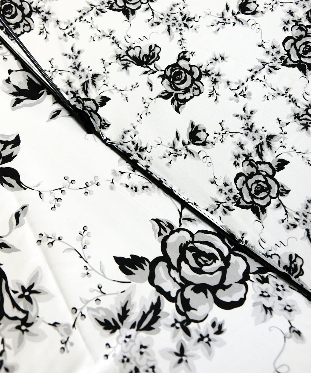 +RING レディース向け プラスリング 雨傘（長）60cm FLW T1258 2重張り傘 