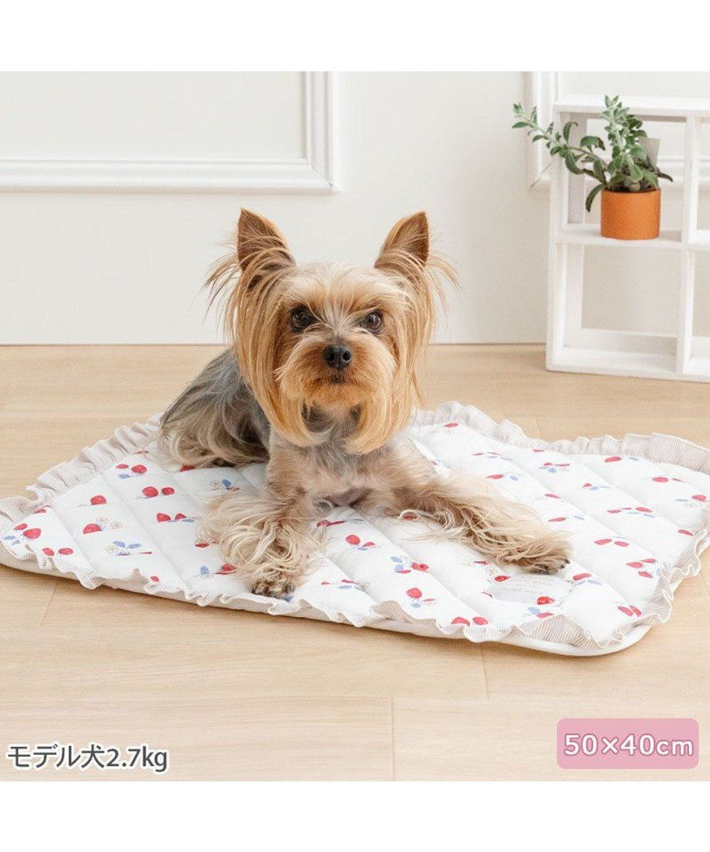 PET PARADISE ペットパラダイス クールマット 《苺花柄》 Ｓ 