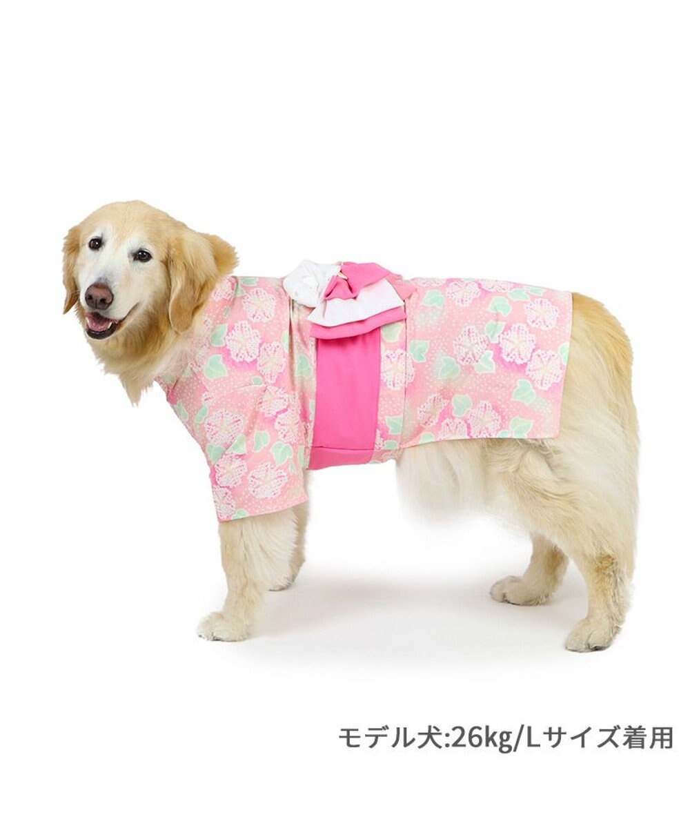 PET PARADISE ペットパラダイス 絞り風 浴衣 《朝顔》 中型犬 大型犬 