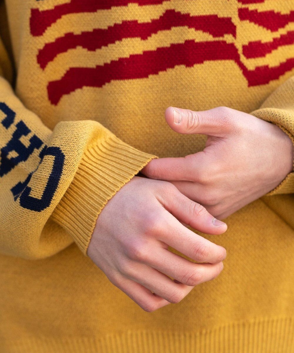 WEGO スリーブロゴニットプルオーバー 