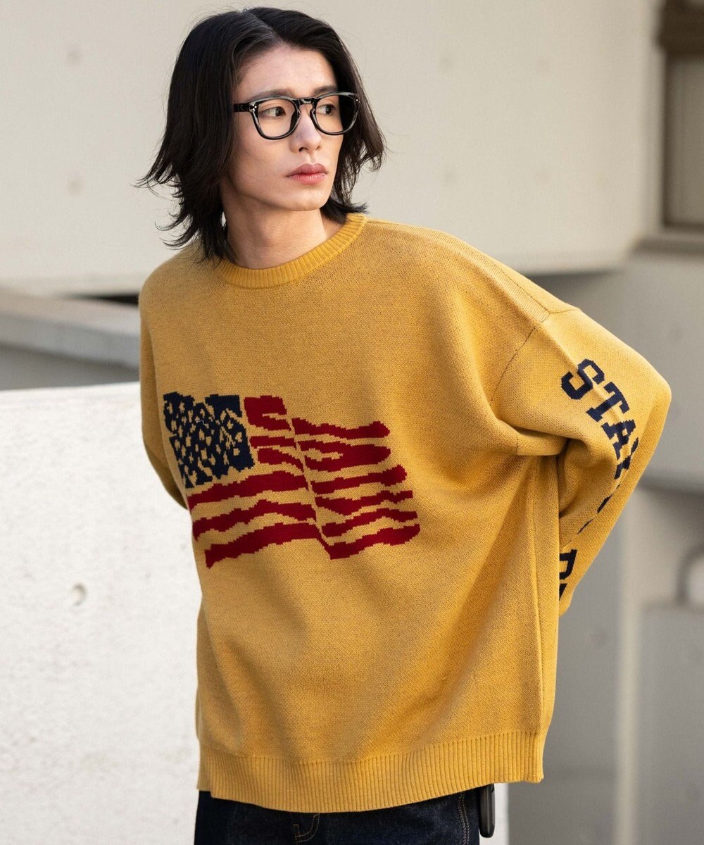 WEGO スリーブロゴニットプルオーバー 