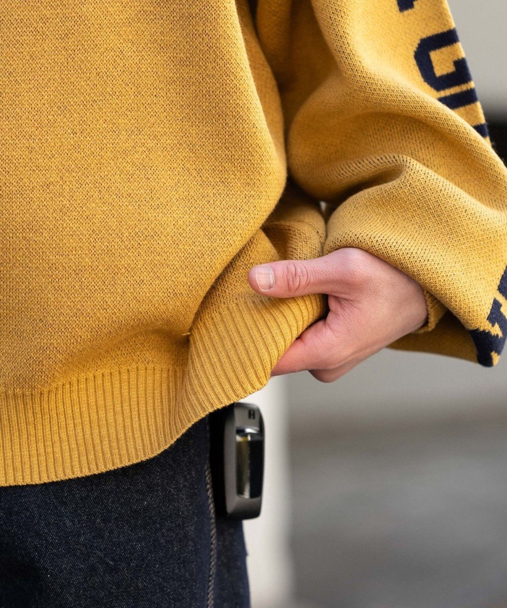 WEGO スリーブロゴニットプルオーバー 