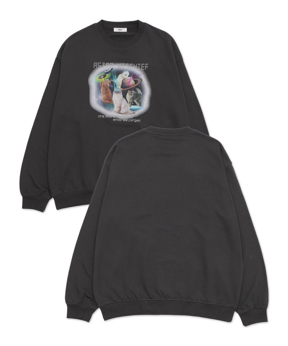 WEGO 【ユニセックス着用ITEM/XSサイズ】アソートグラフィックプルオーバー（2） 