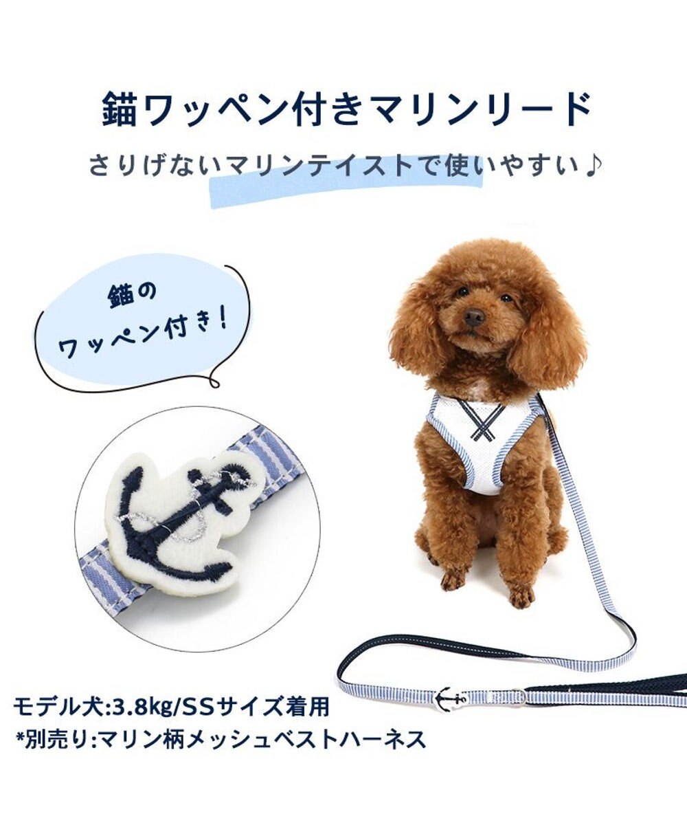 PET PARADISE 犬 リード 【４Ｓ~３Ｓ】 小花柄 マリン 