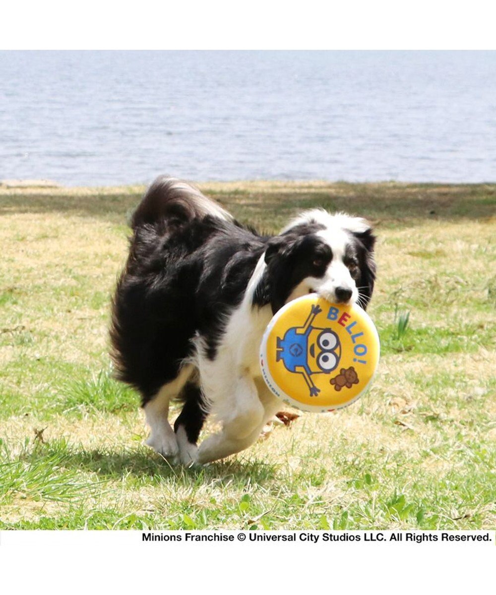 PET PARADISE 犬 おもちゃ ミニオン フライングディスク M (直径22cm) 