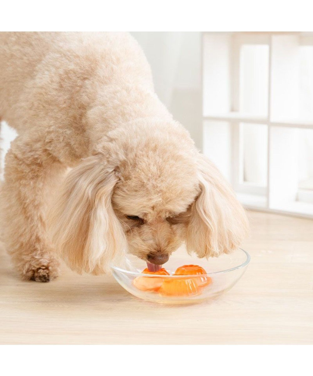 PET PARADISE 5種の野菜＆フルーツゼリー 8個入り 