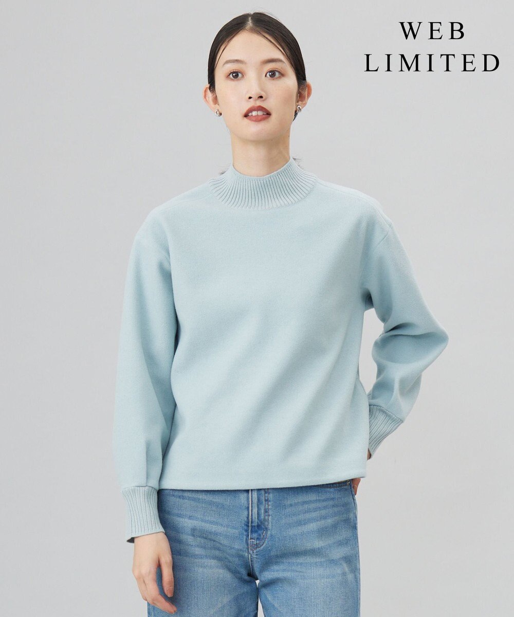 J.PRESS LADIES S 【WEB限定カラーあり】ニードルパンチ カットソー 【WEB限定】パイングリーン系