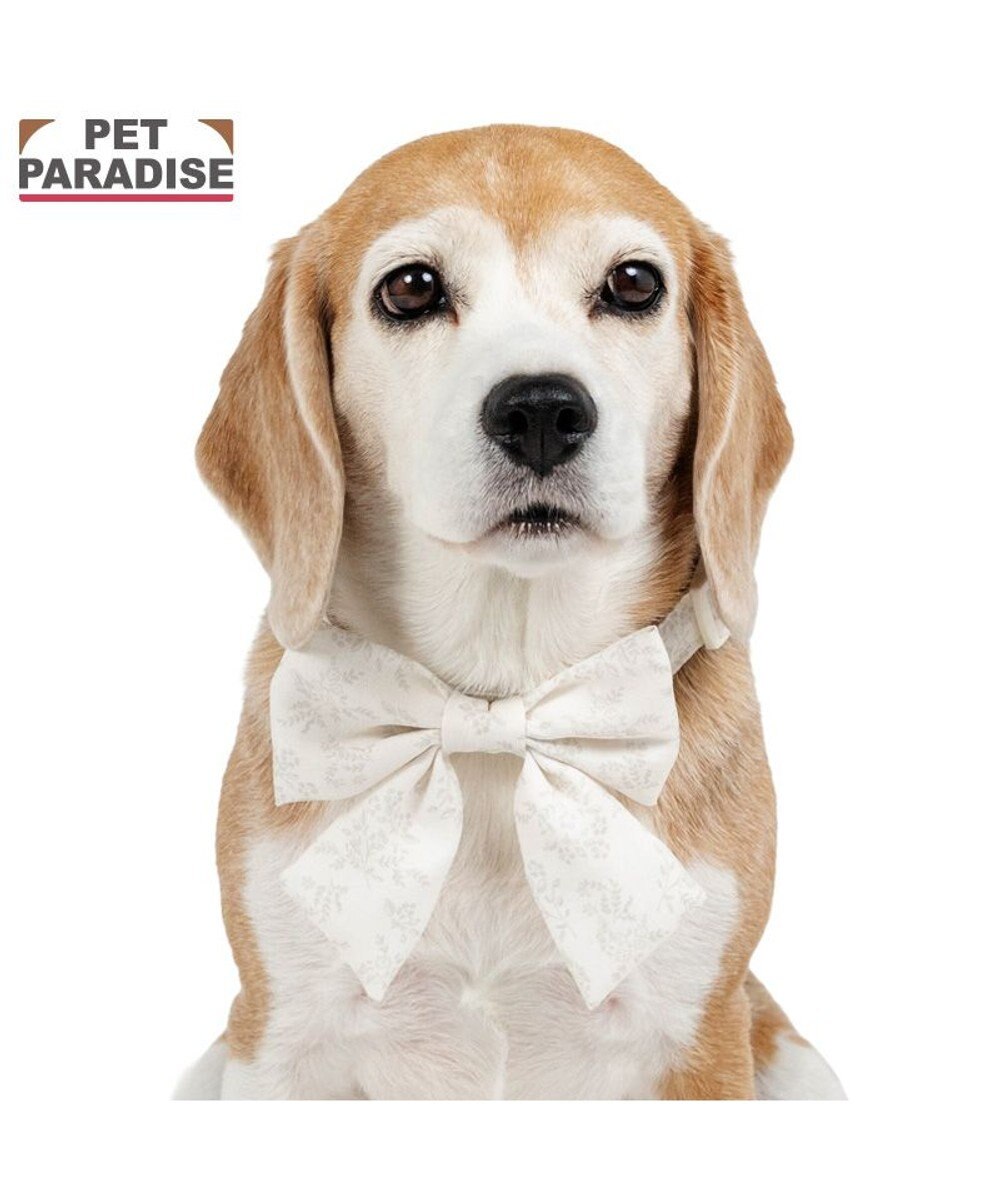 PET PARADISE ペットパラダイス 花柄りぼん 首輪 ＳＭ 中型犬 