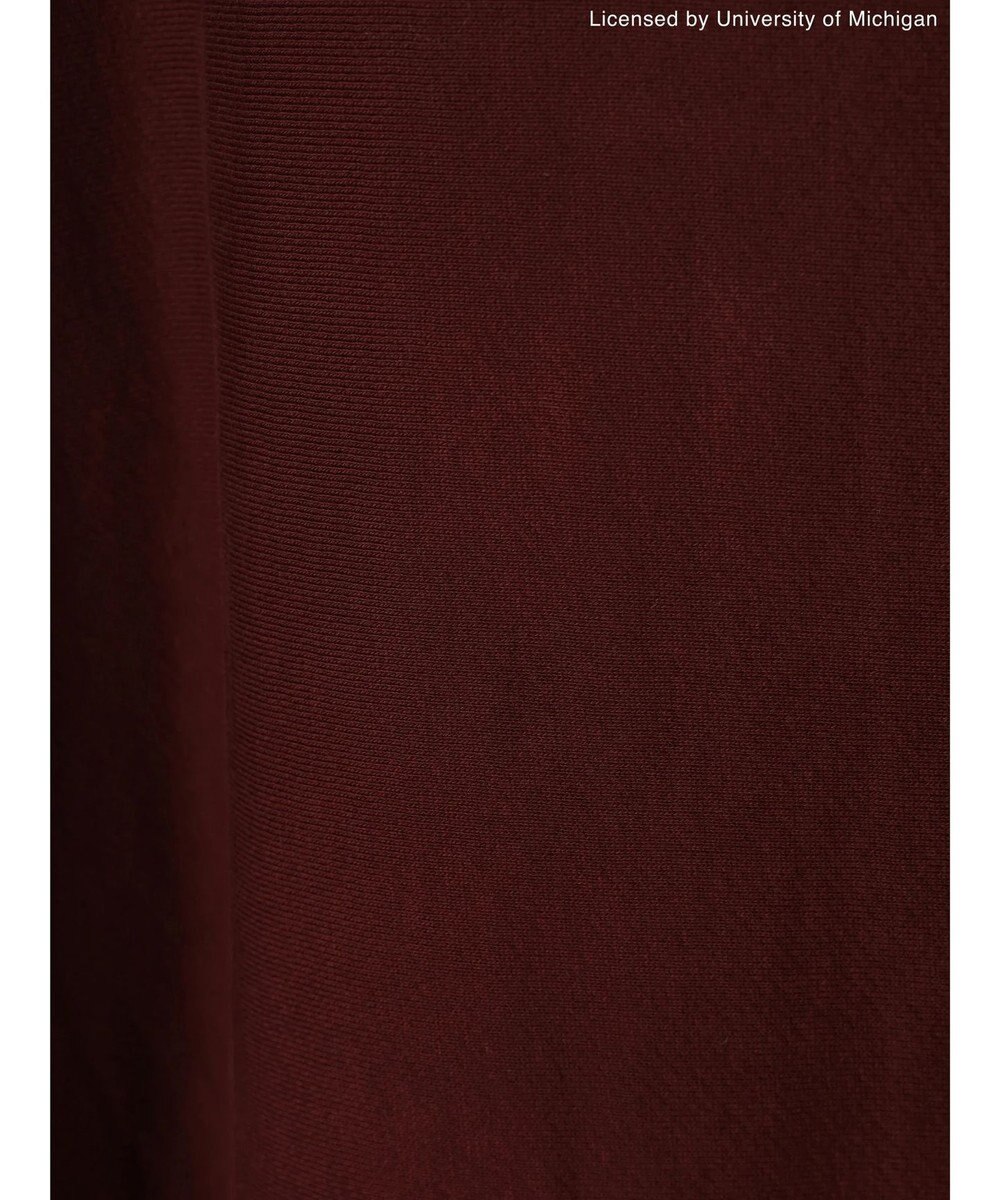 AMERICAN HOLIC Ｍｉｃｈｉｇａｎ　Ｕｎｉｖｅｒｓｉｔｙ　スウェット 