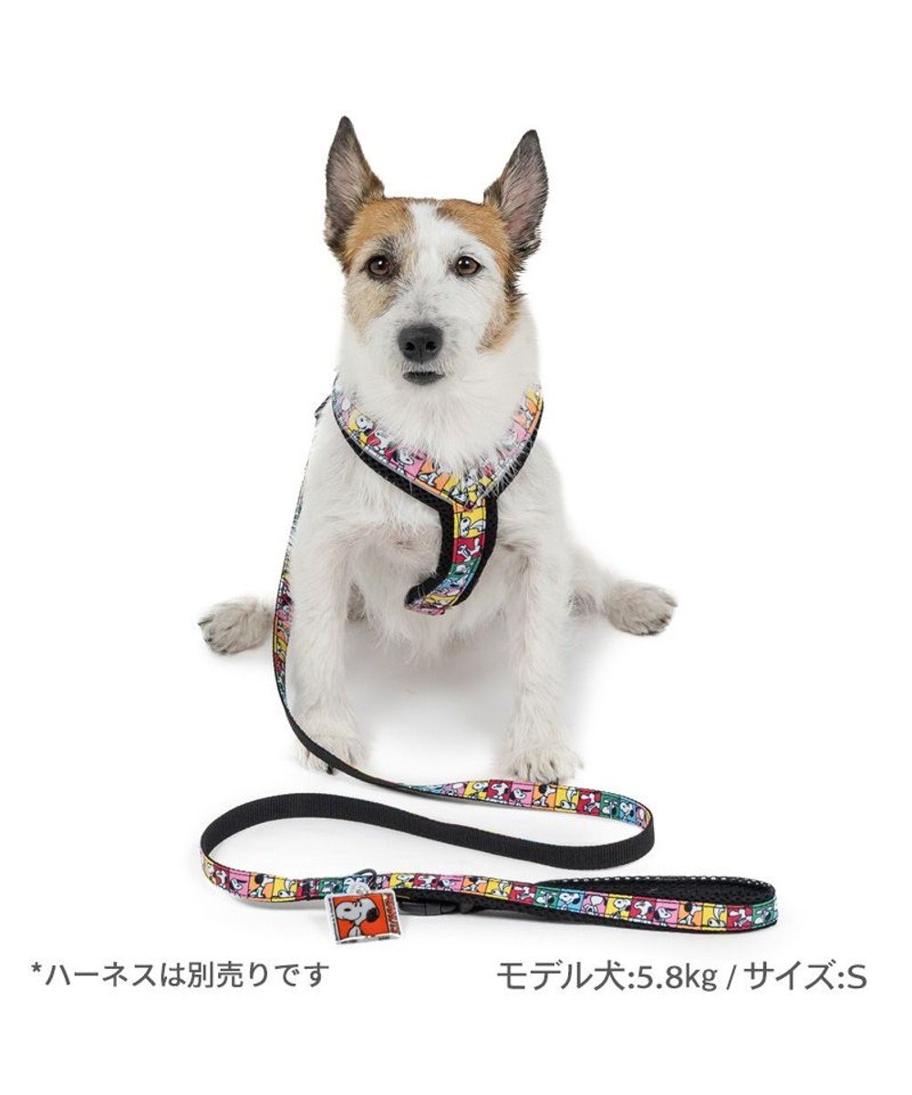 PET PARADISE スヌーピー 75周年 リード 小型犬 ～S 