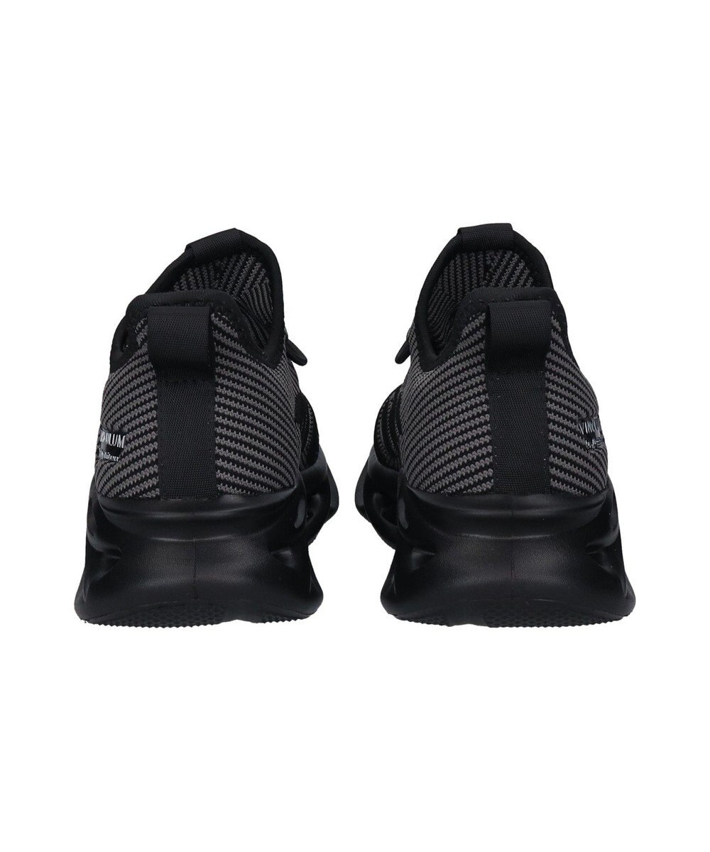 Bridget Birkin 【VINCULUM×phiten】エアロソールコラボスニーカー 