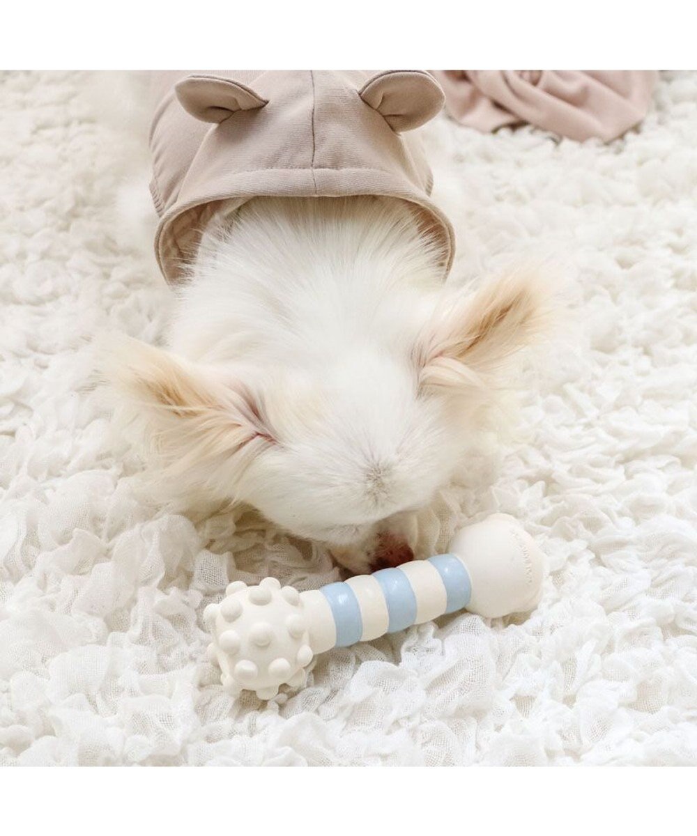 PET PARADISE ペットパラダイス くまちゃん ラテックス トイ 《ホワイト》 